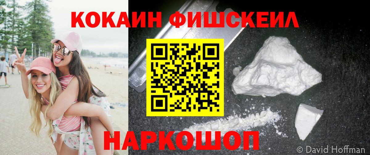 Вольск  COCAIN Fish Scale  COCAIN  Вход с VPN  COCAIN 98% 