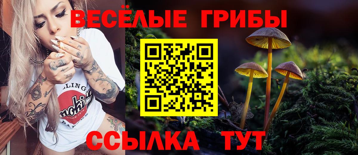 Вольск  Галлюциногенные грибы ЛСД  Галлюциногенные грибы ЛСД  Вход с VPN 