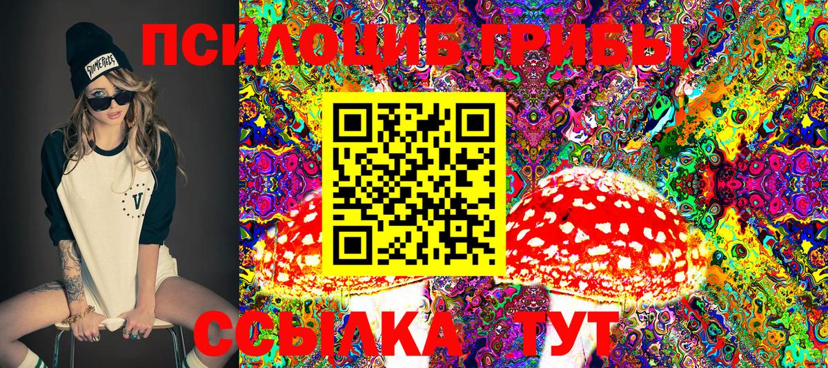 Псилоцибиновые грибы GOLDEN TEACHER Вольск